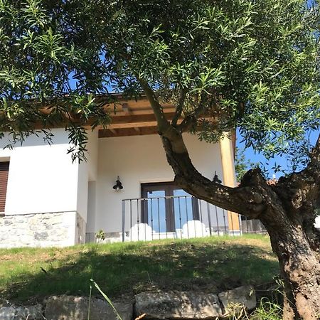 La Casina Del Olivo Villa Ribadesella Kültér fotó