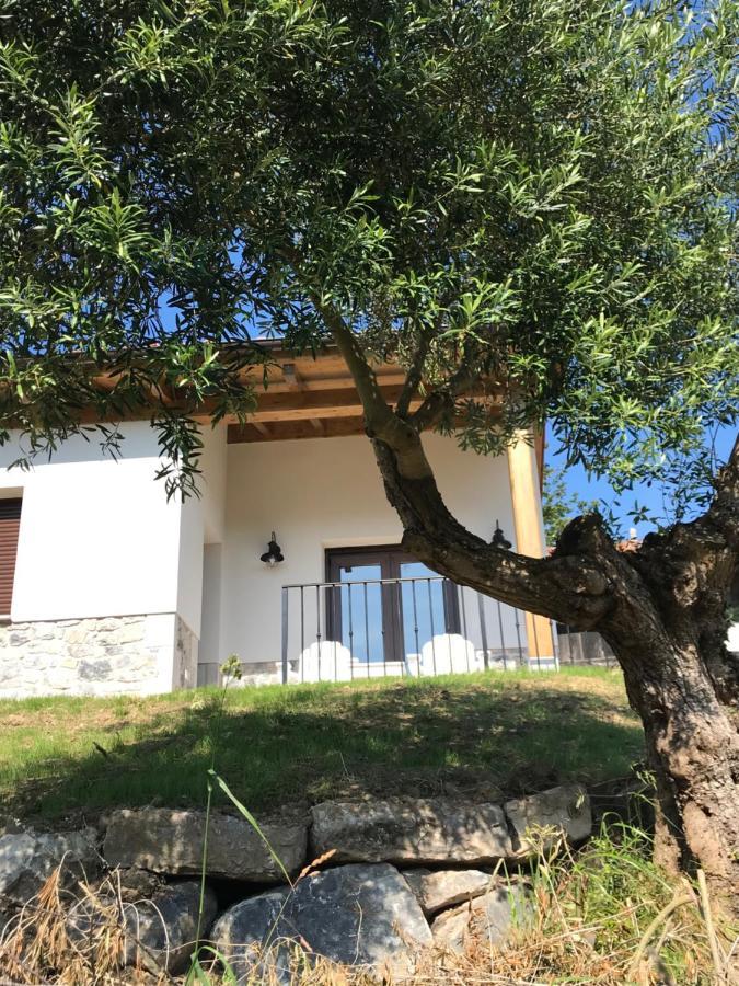 La Casina Del Olivo Villa Ribadesella Kültér fotó
